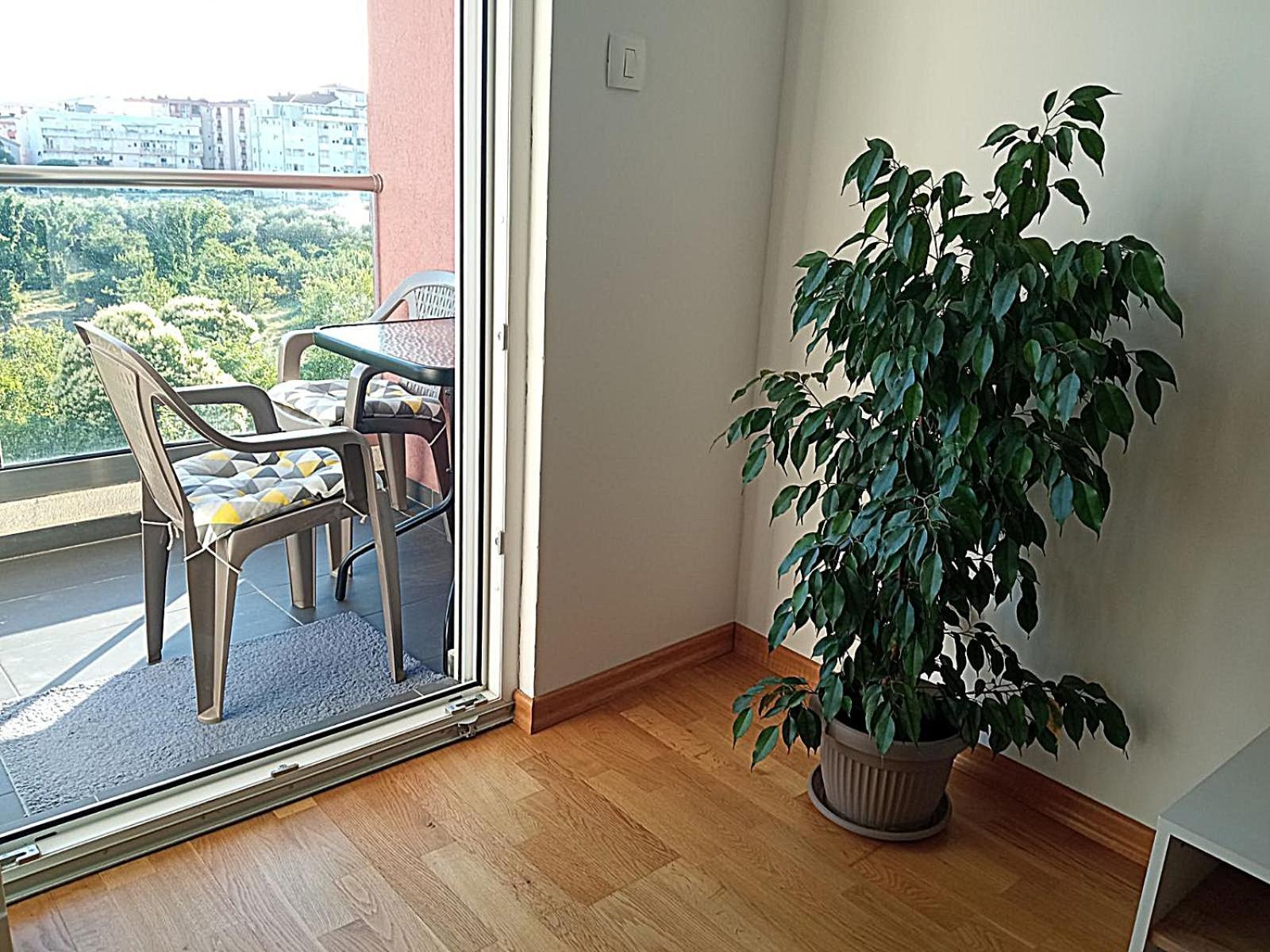 Renta Apartman Podgorica Extérieur photo